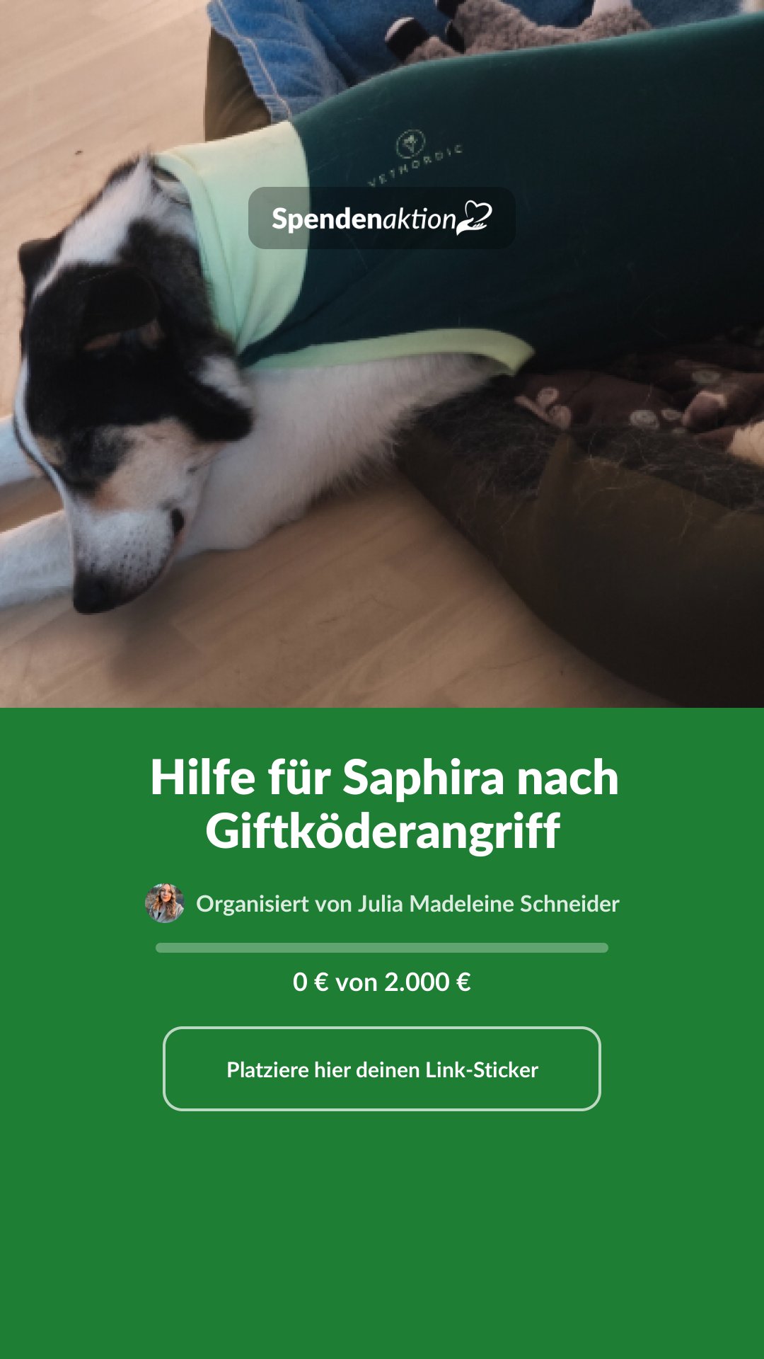 Vorschau des Bildes