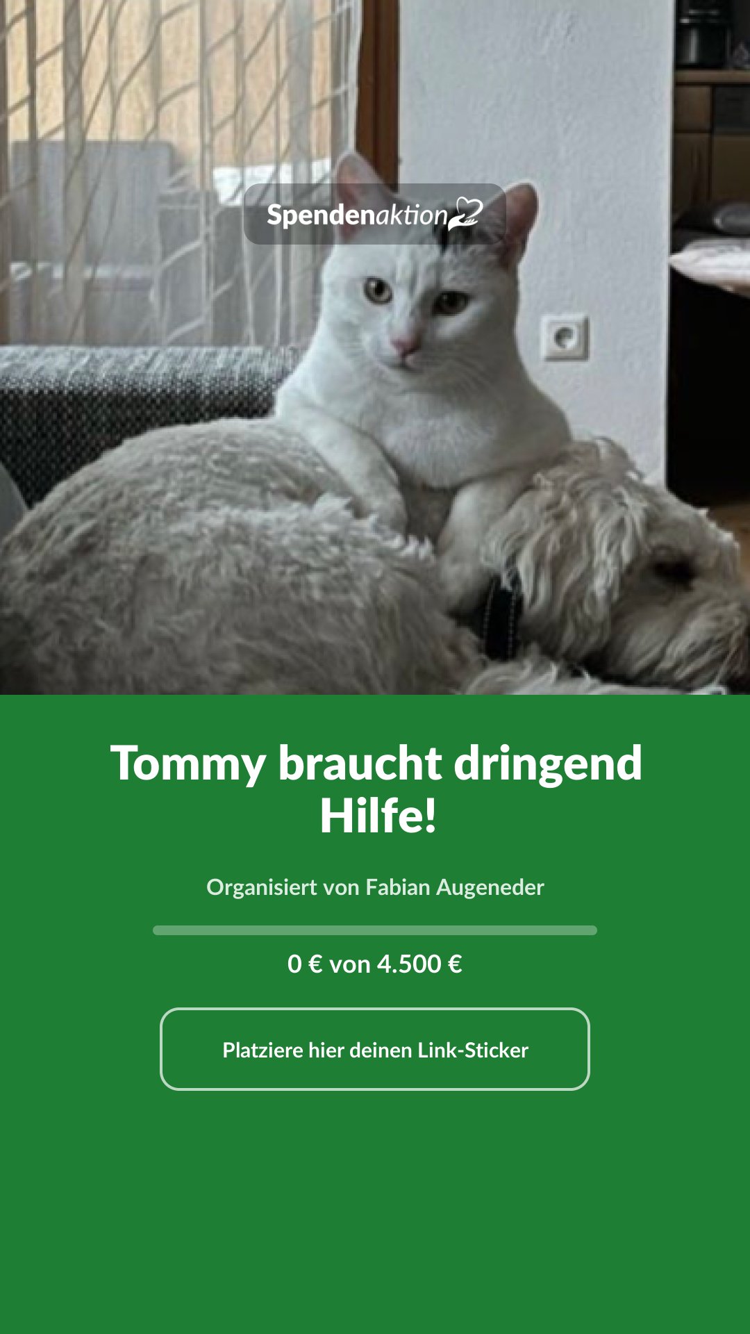 Vorschau des Bildes