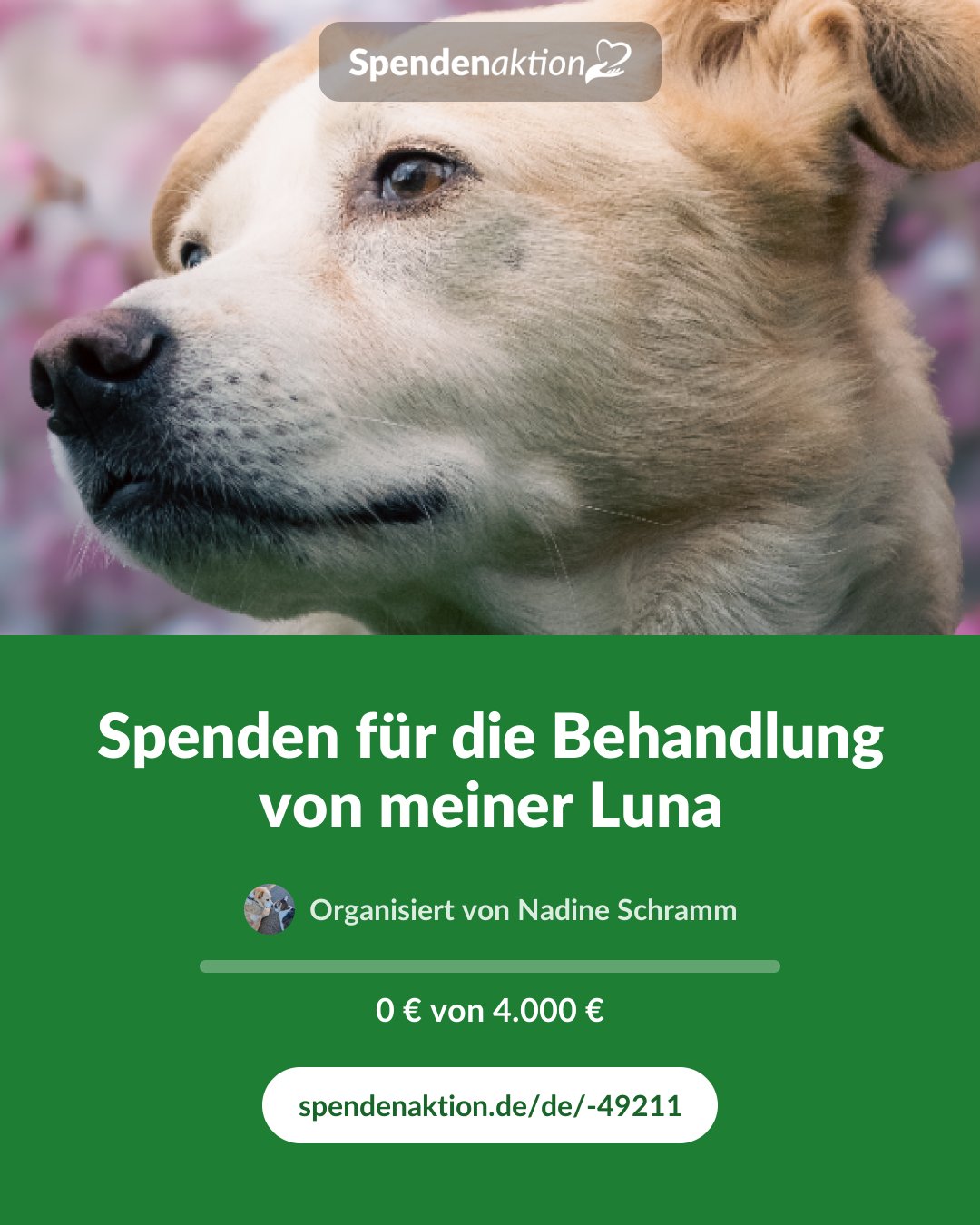 Vorschau des Bildes
