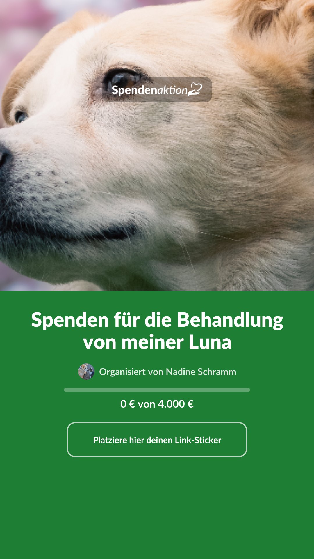 Vorschau des Bildes