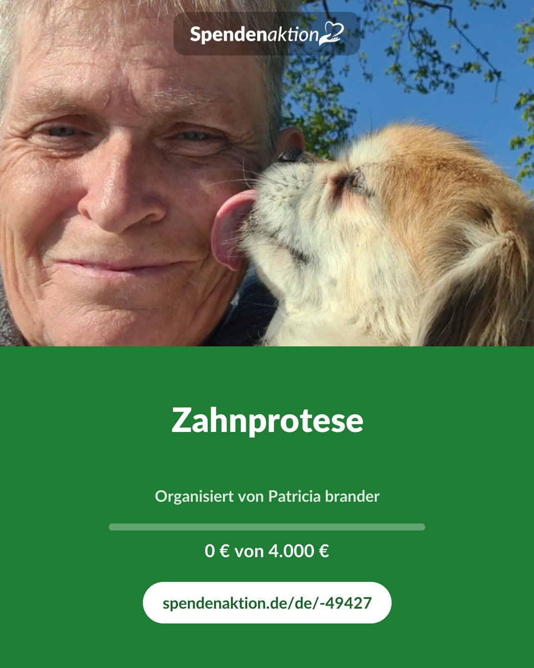 Vorschau des Bildes