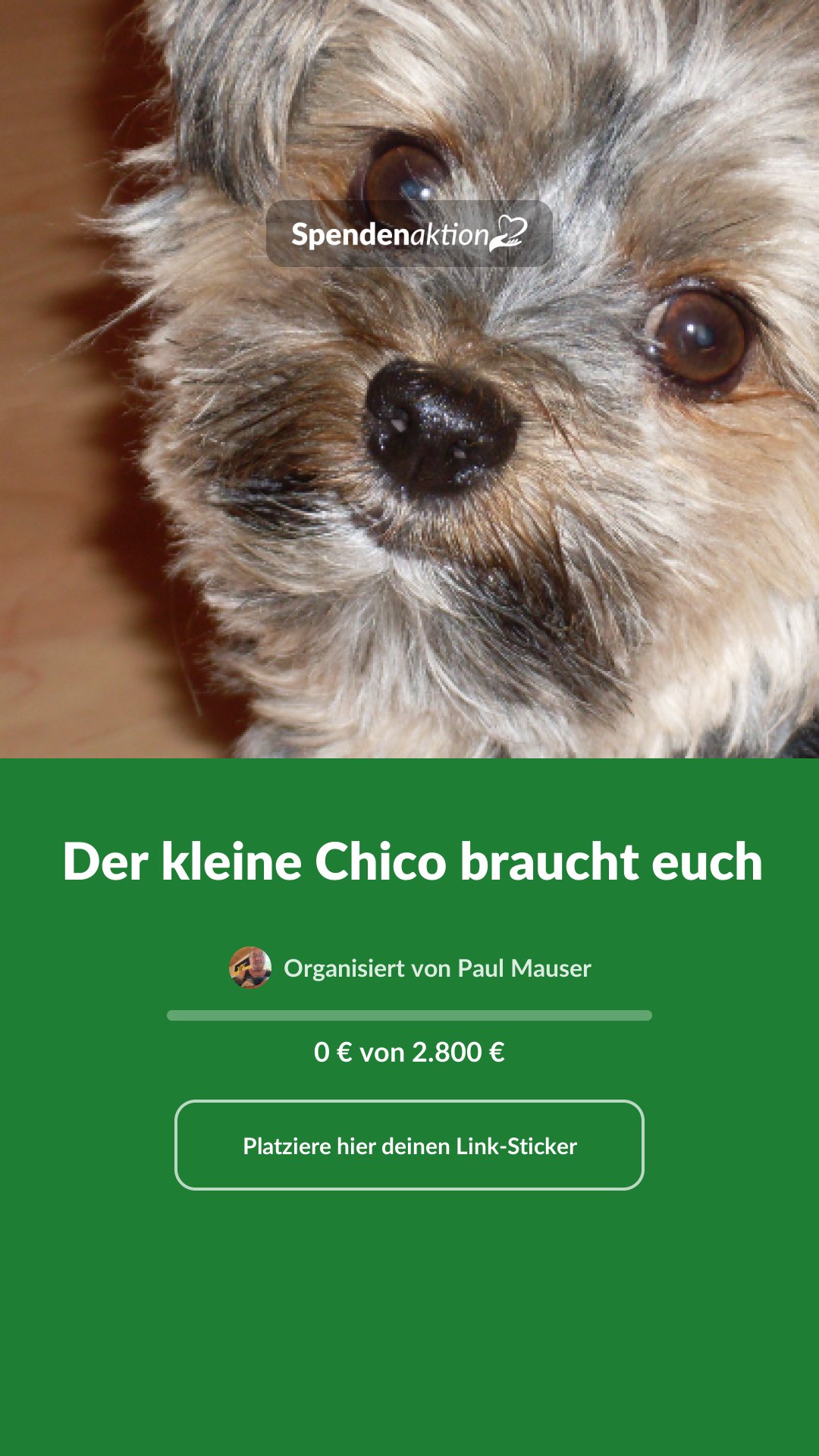 Vorschau des Bildes