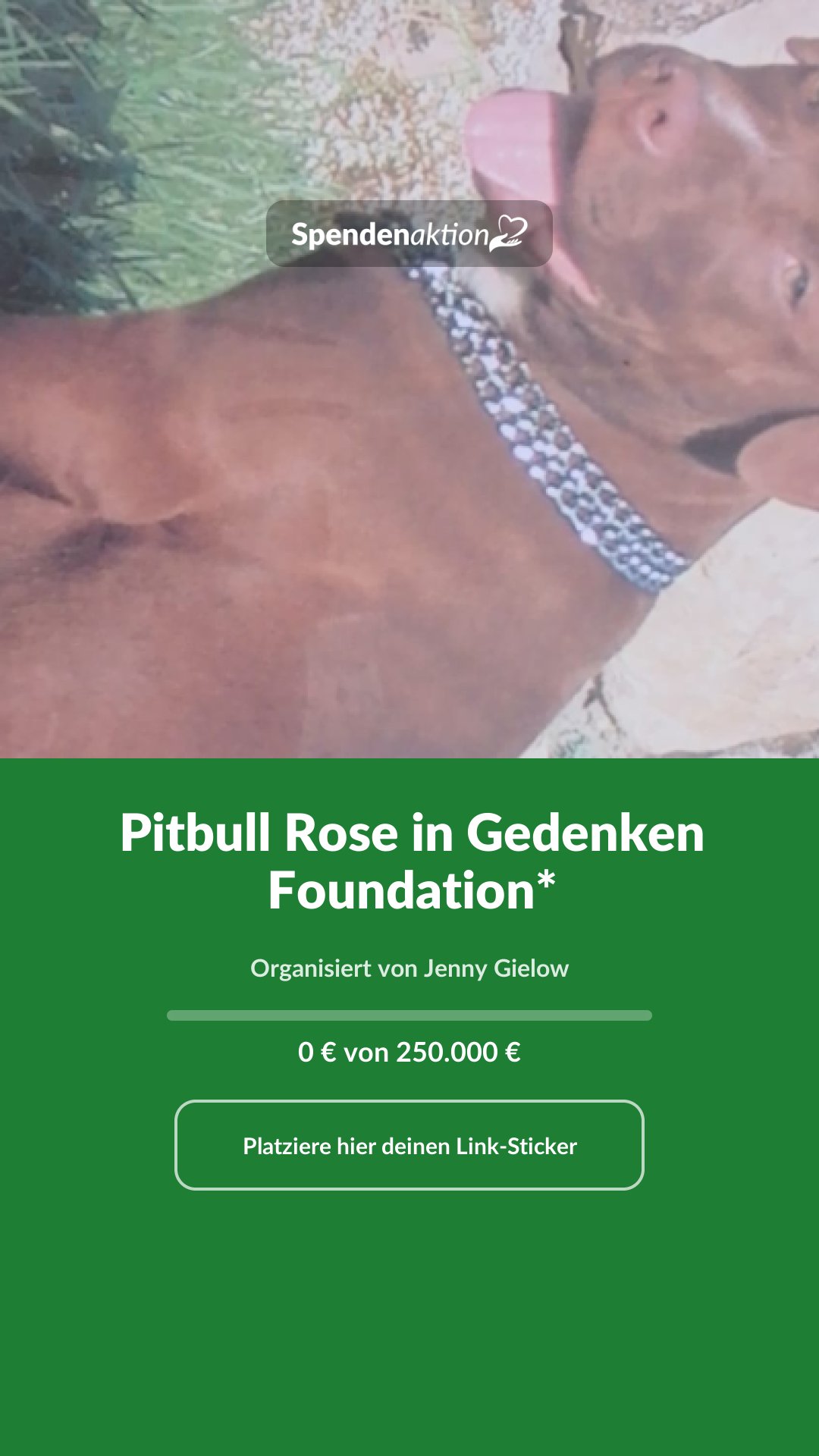 Vorschau des Bildes