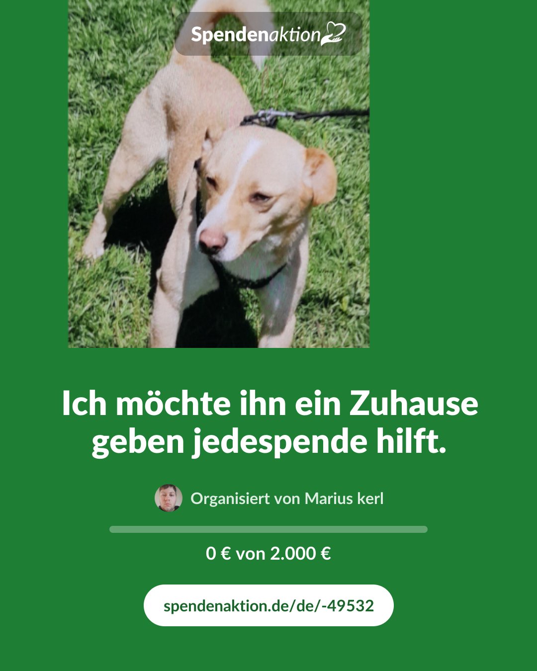Vorschau des Bildes