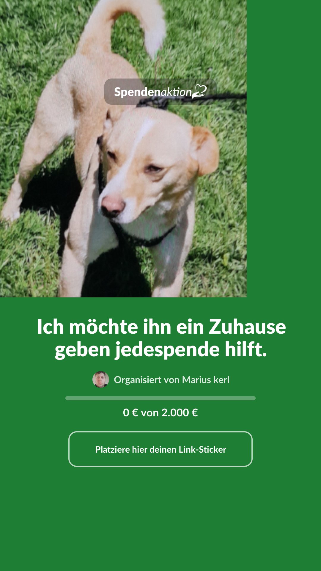 Vorschau des Bildes