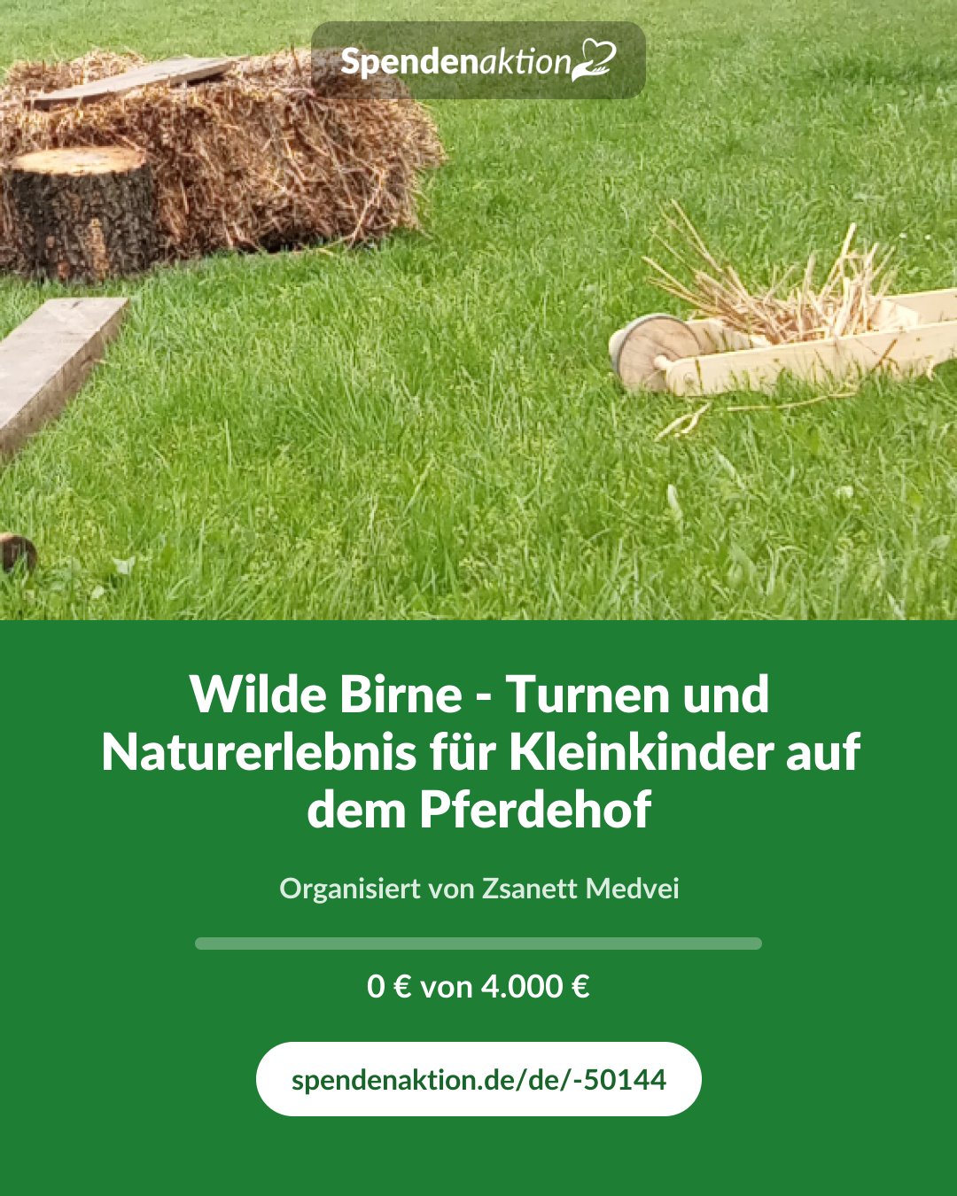 Vorschau des Bildes