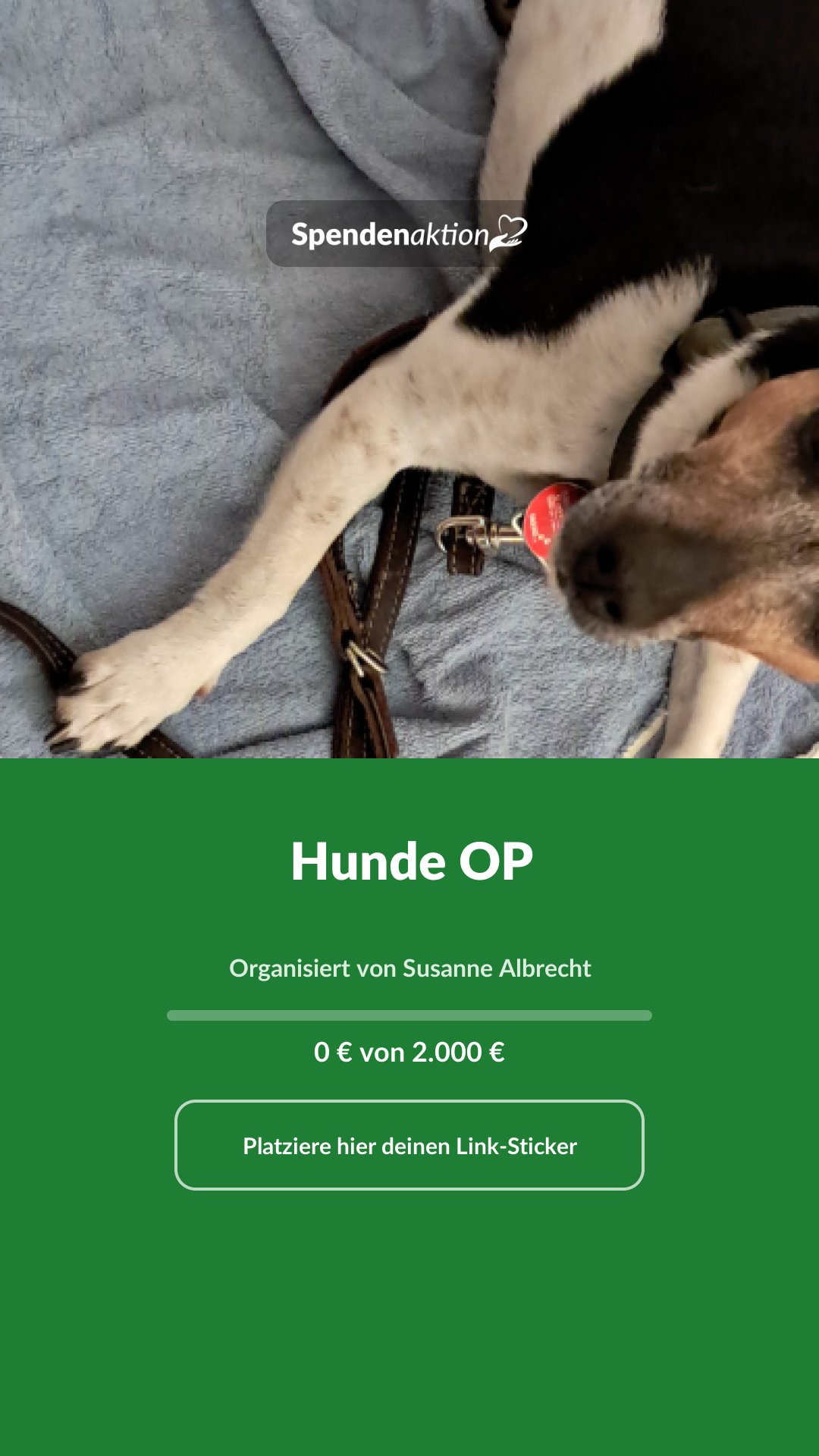 Vorschau des Bildes