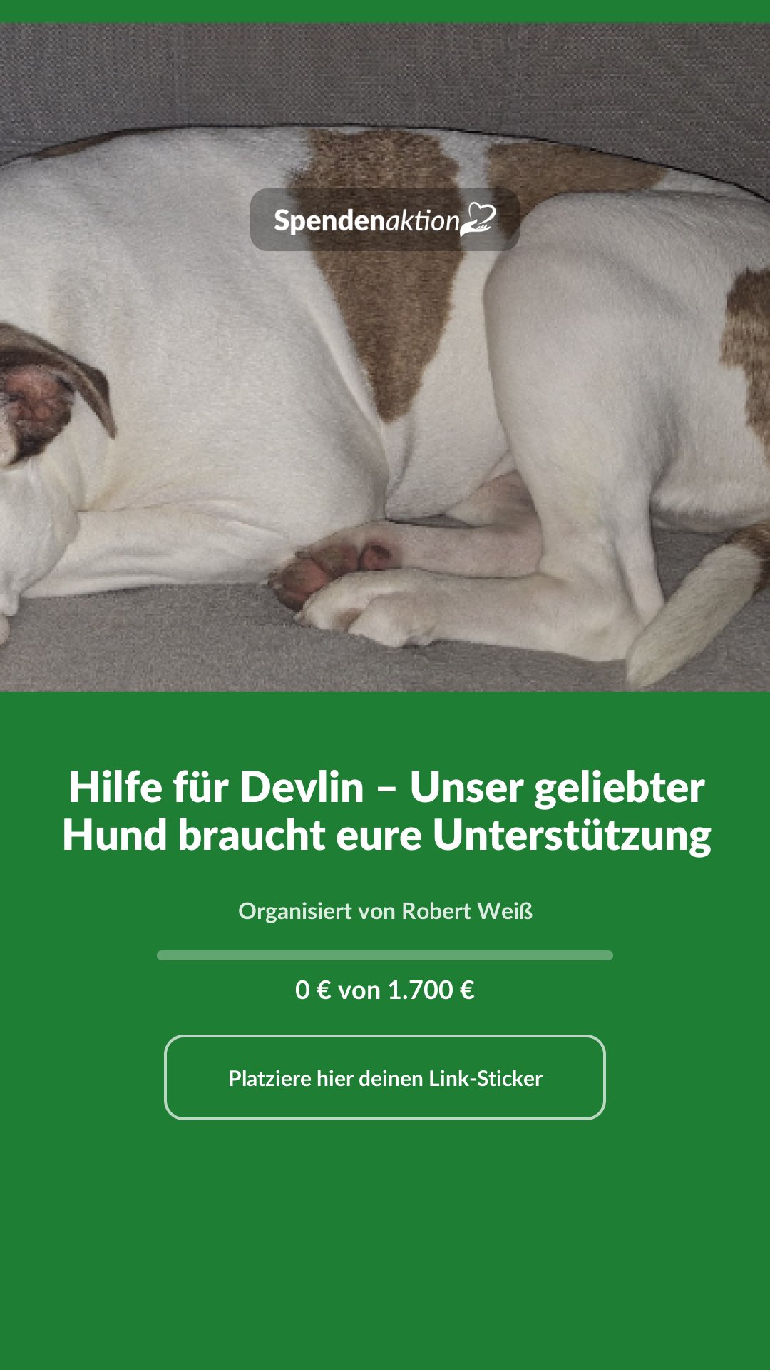 Vorschau des Bildes