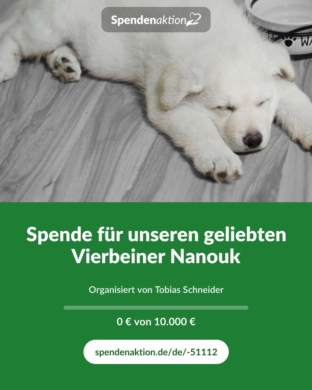 Vorschau des Bildes