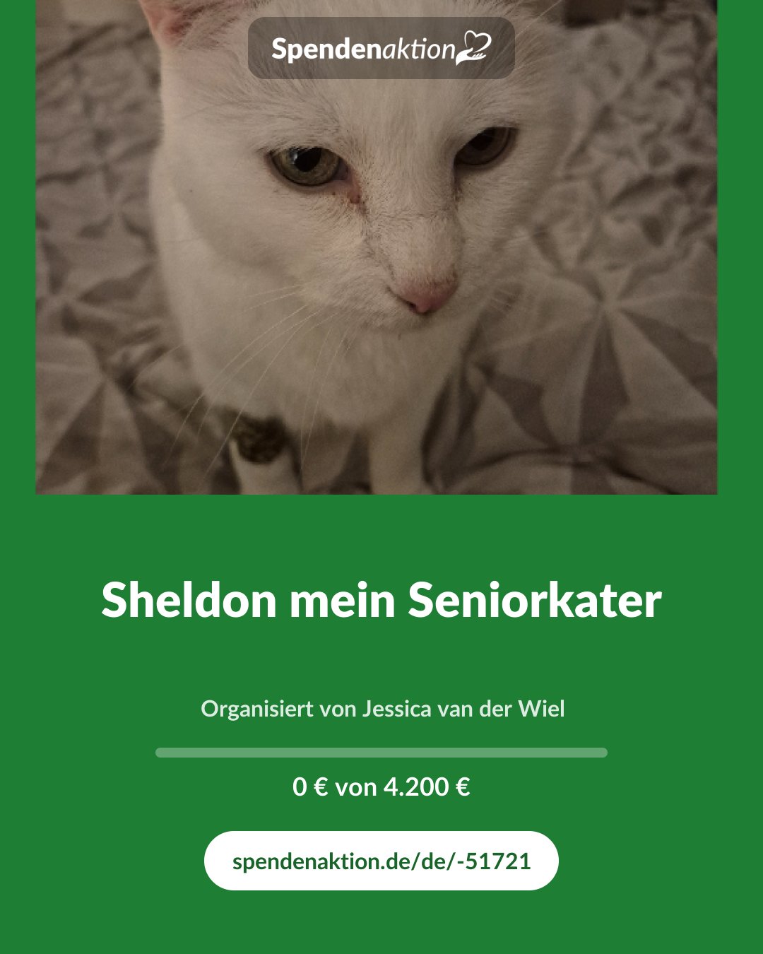 Vorschau des Bildes
