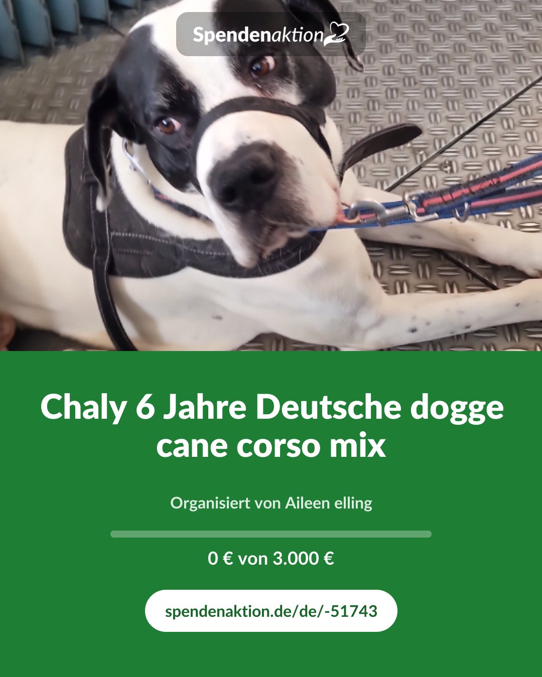 Vorschau des Bildes
