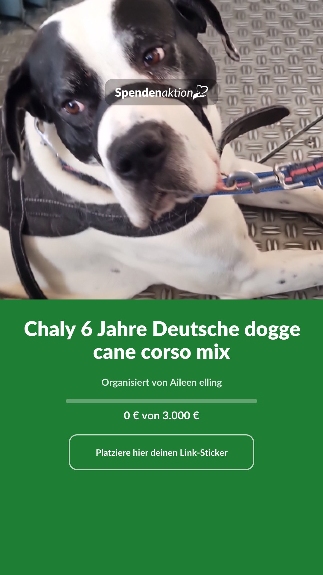 Vorschau des Bildes