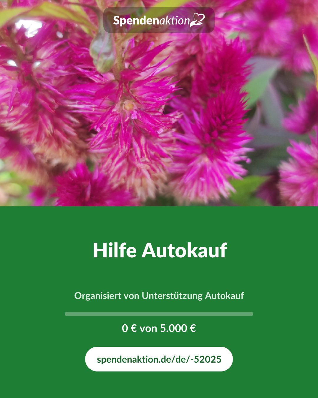 Vorschau des Bildes