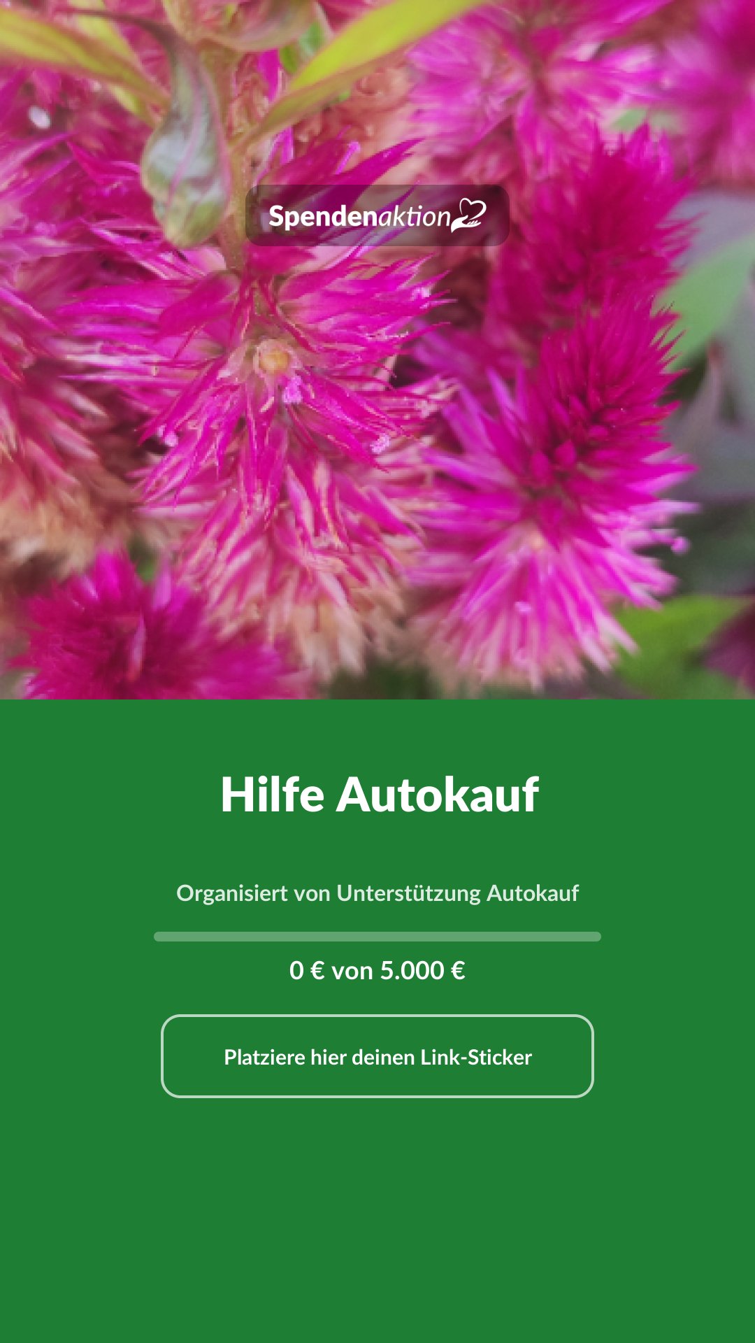 Vorschau des Bildes
