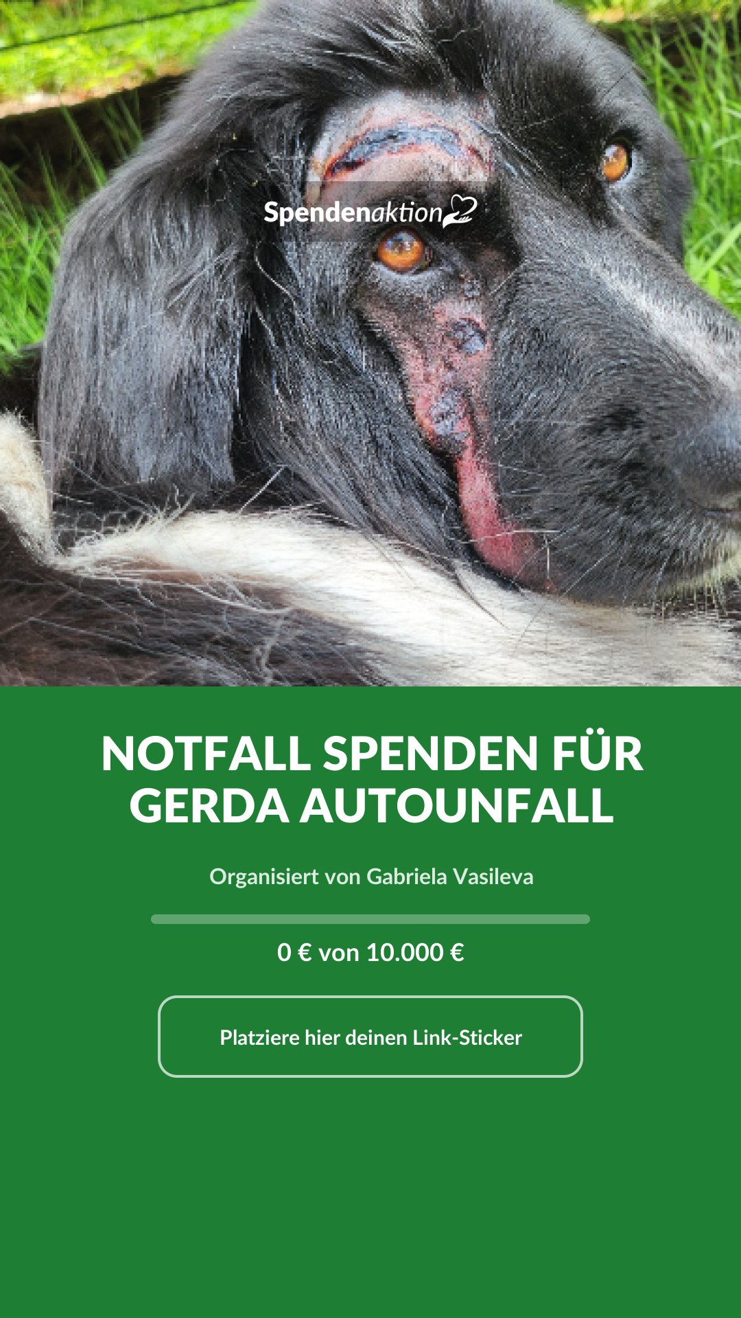 Vorschau des Bildes