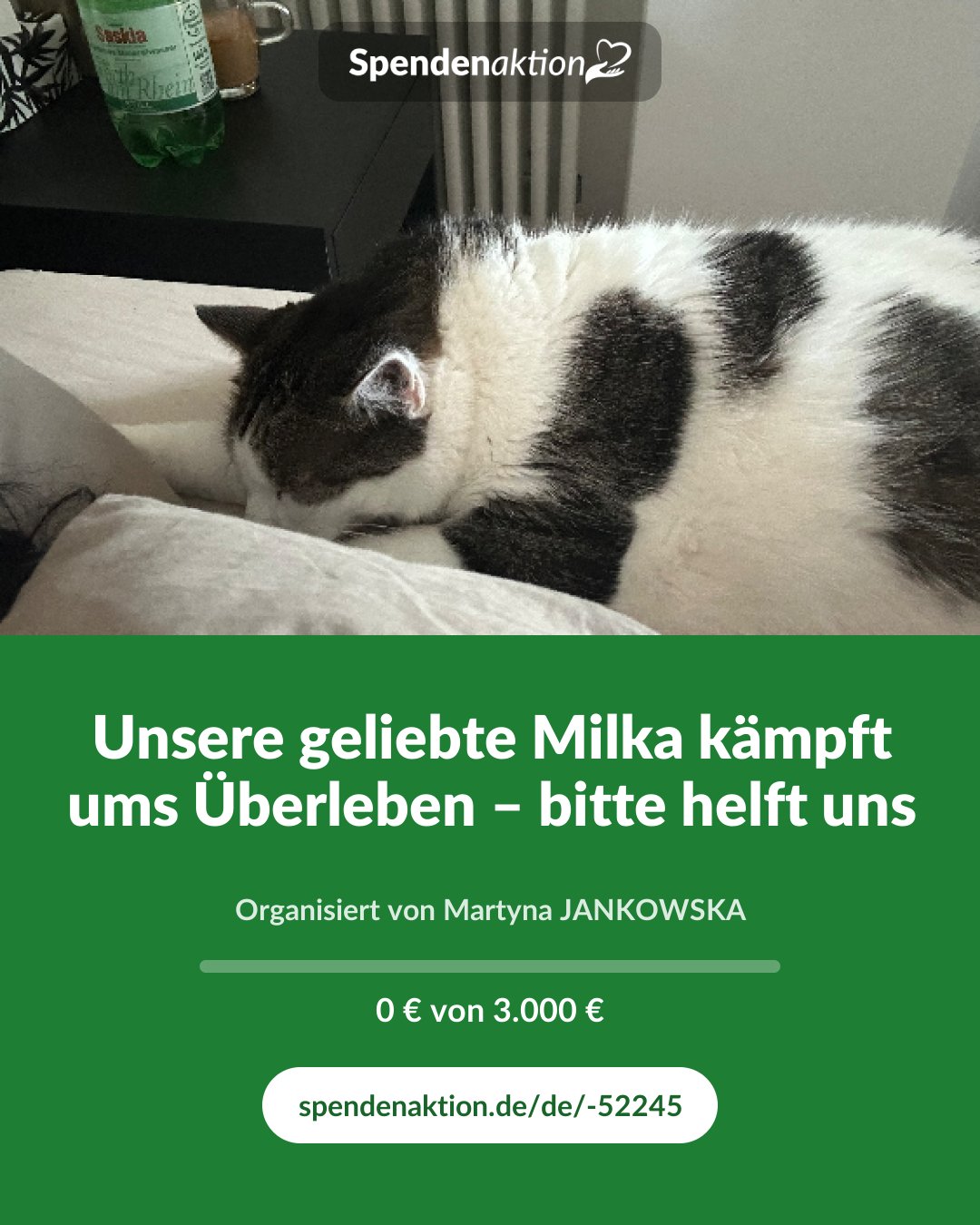Vorschau des Bildes