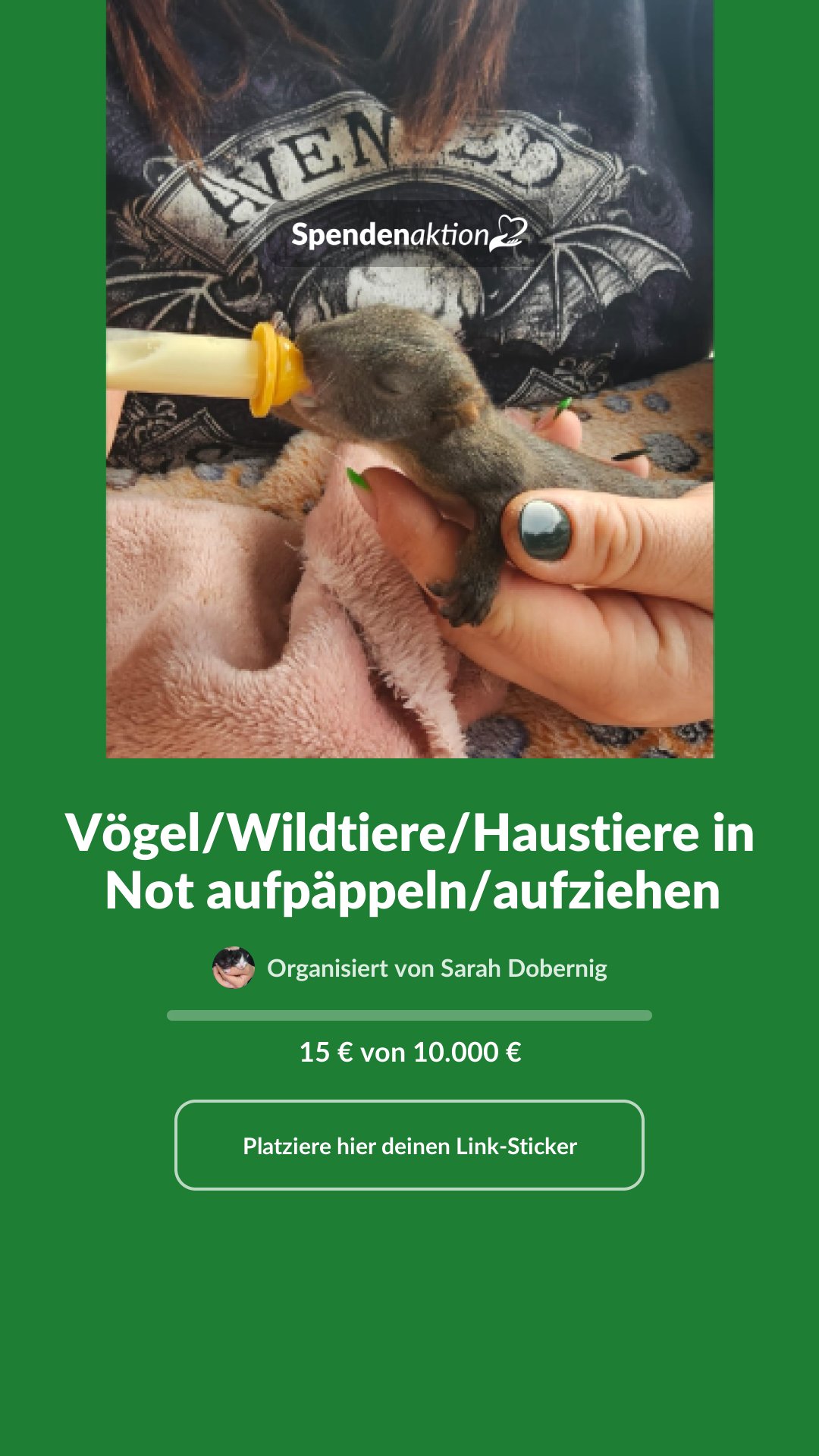Vorschau des Bildes