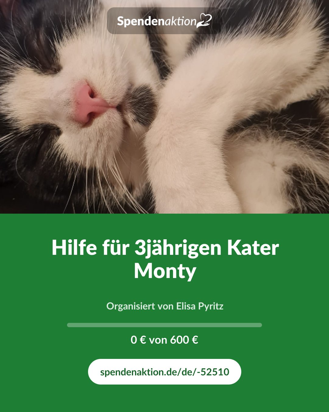 Vorschau des Bildes