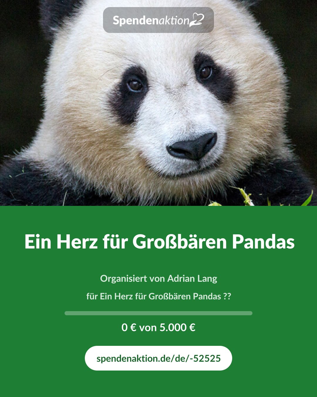Vorschau des Bildes