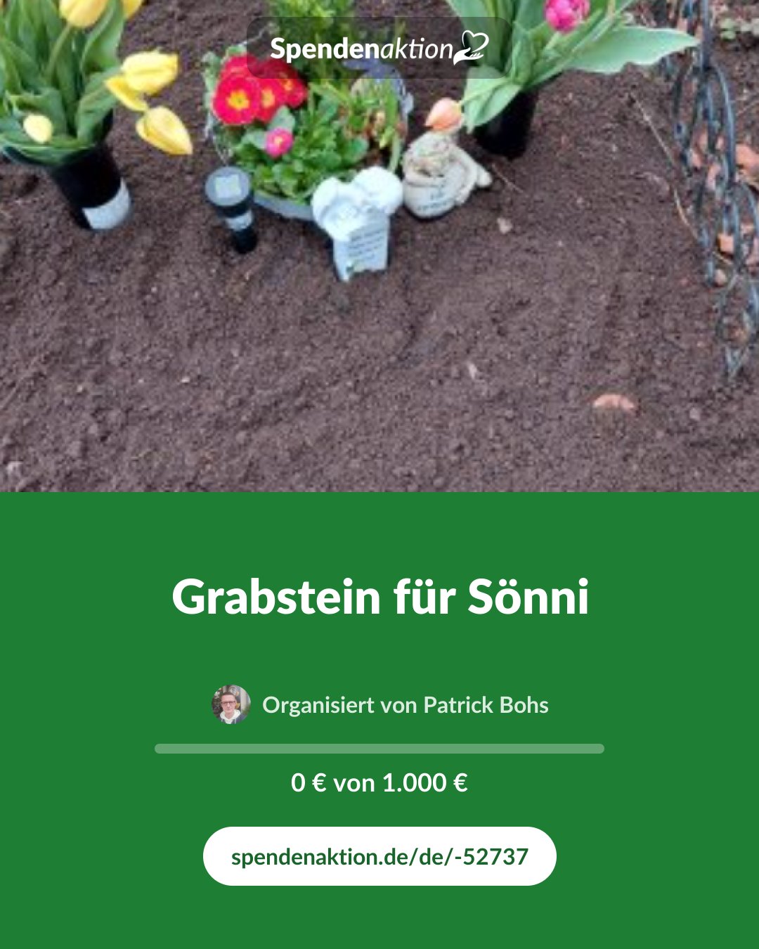 Vorschau des Bildes