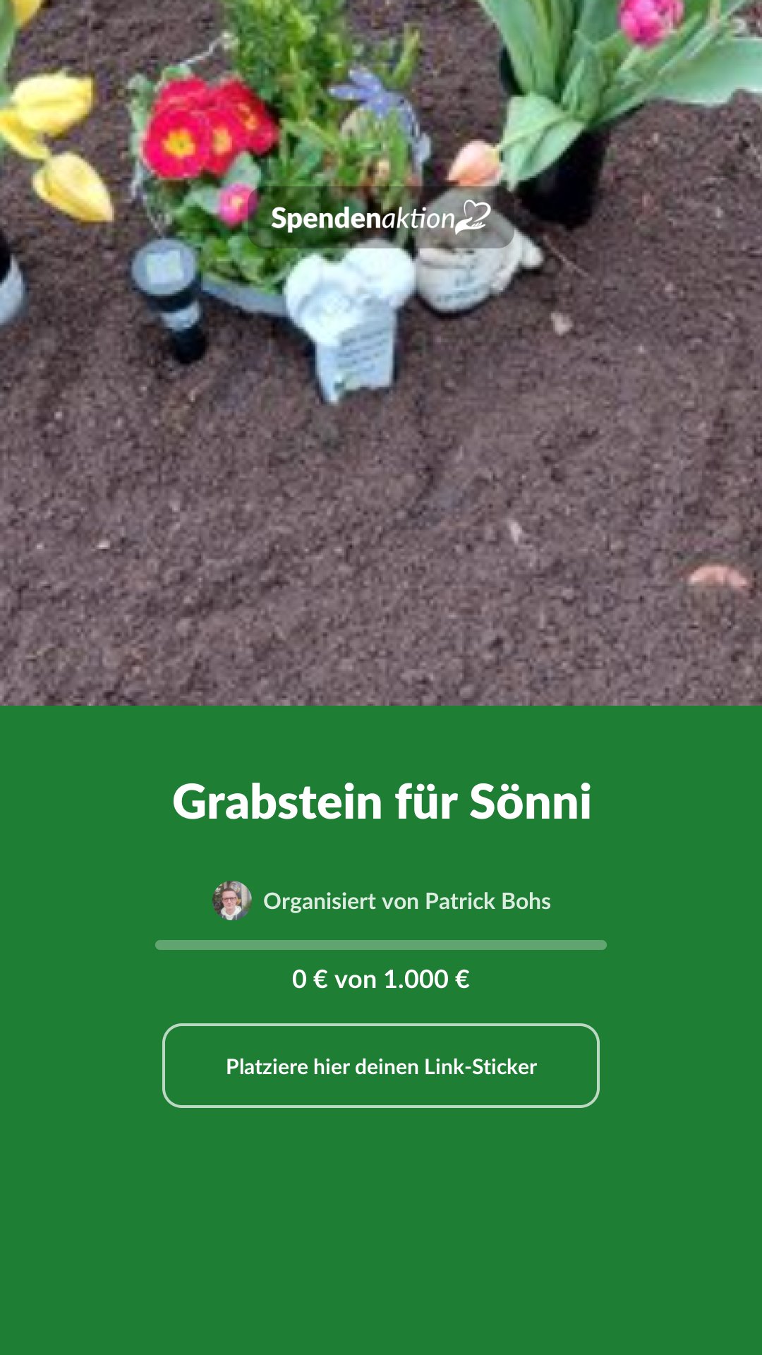 Vorschau des Bildes