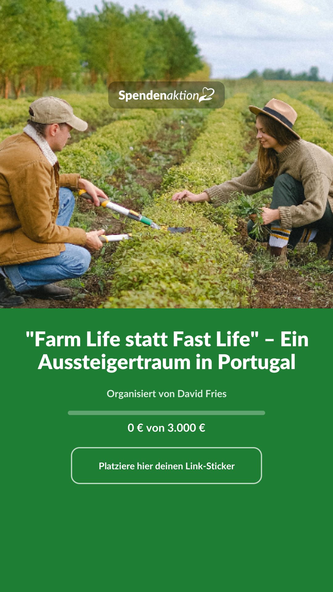 Vorschau des Bildes