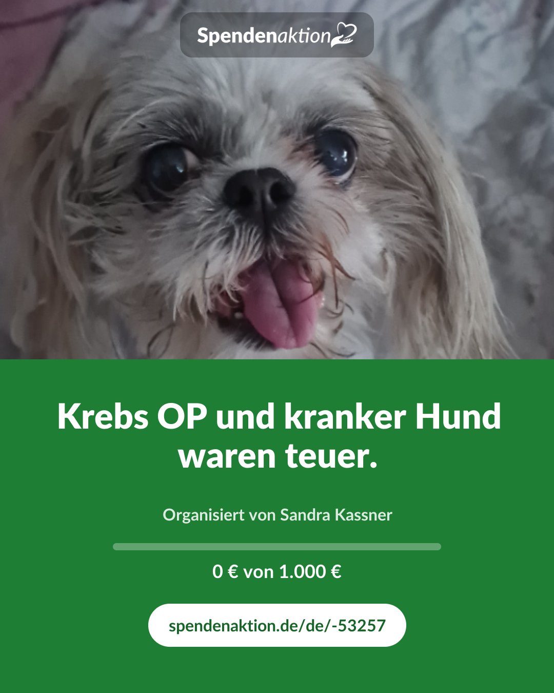 Vorschau des Bildes