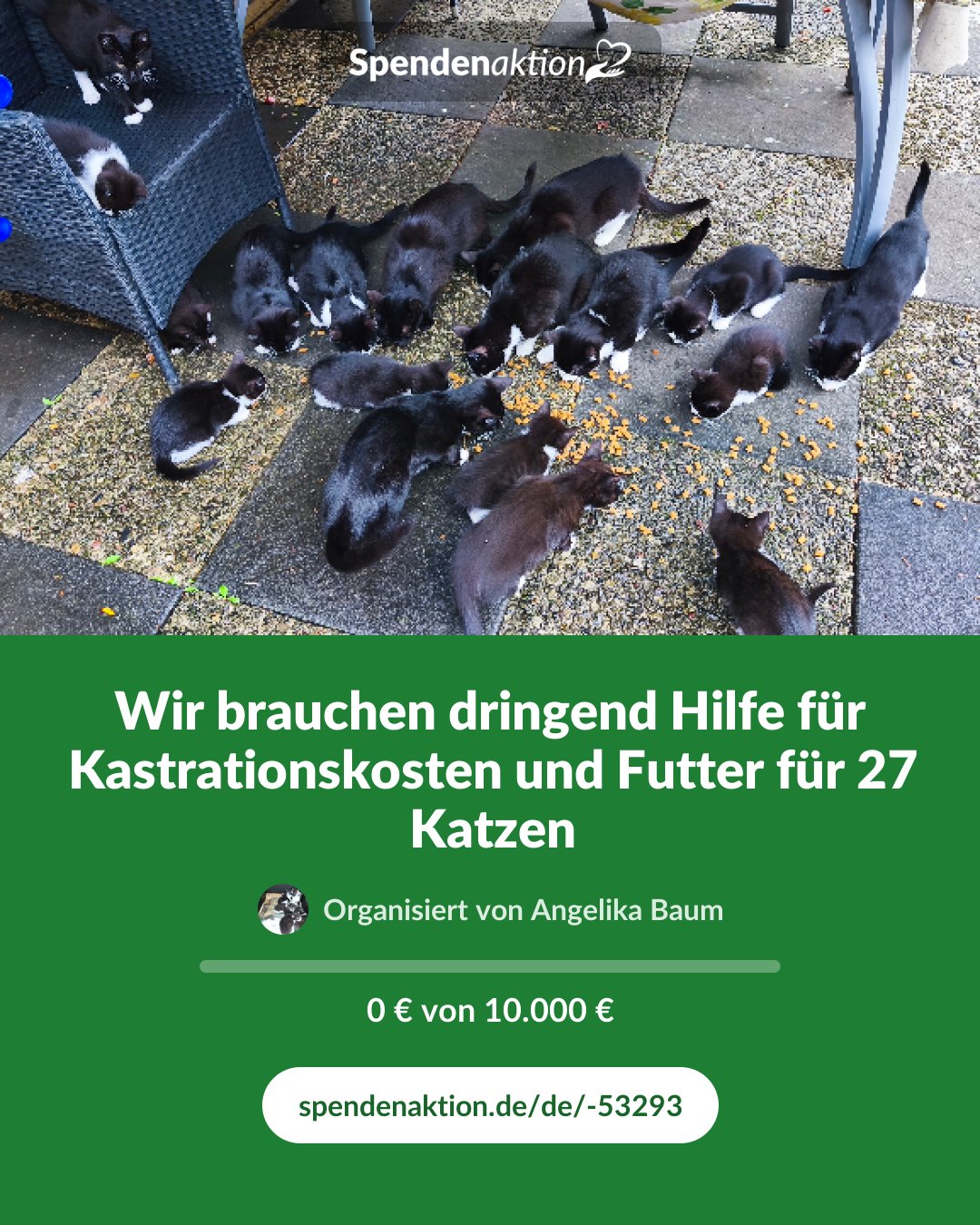 Vorschau des Bildes