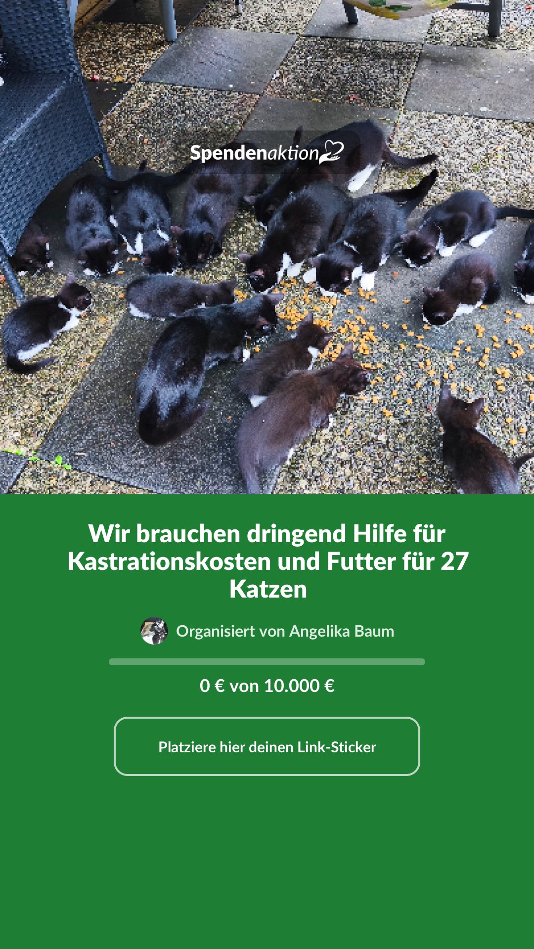 Vorschau des Bildes