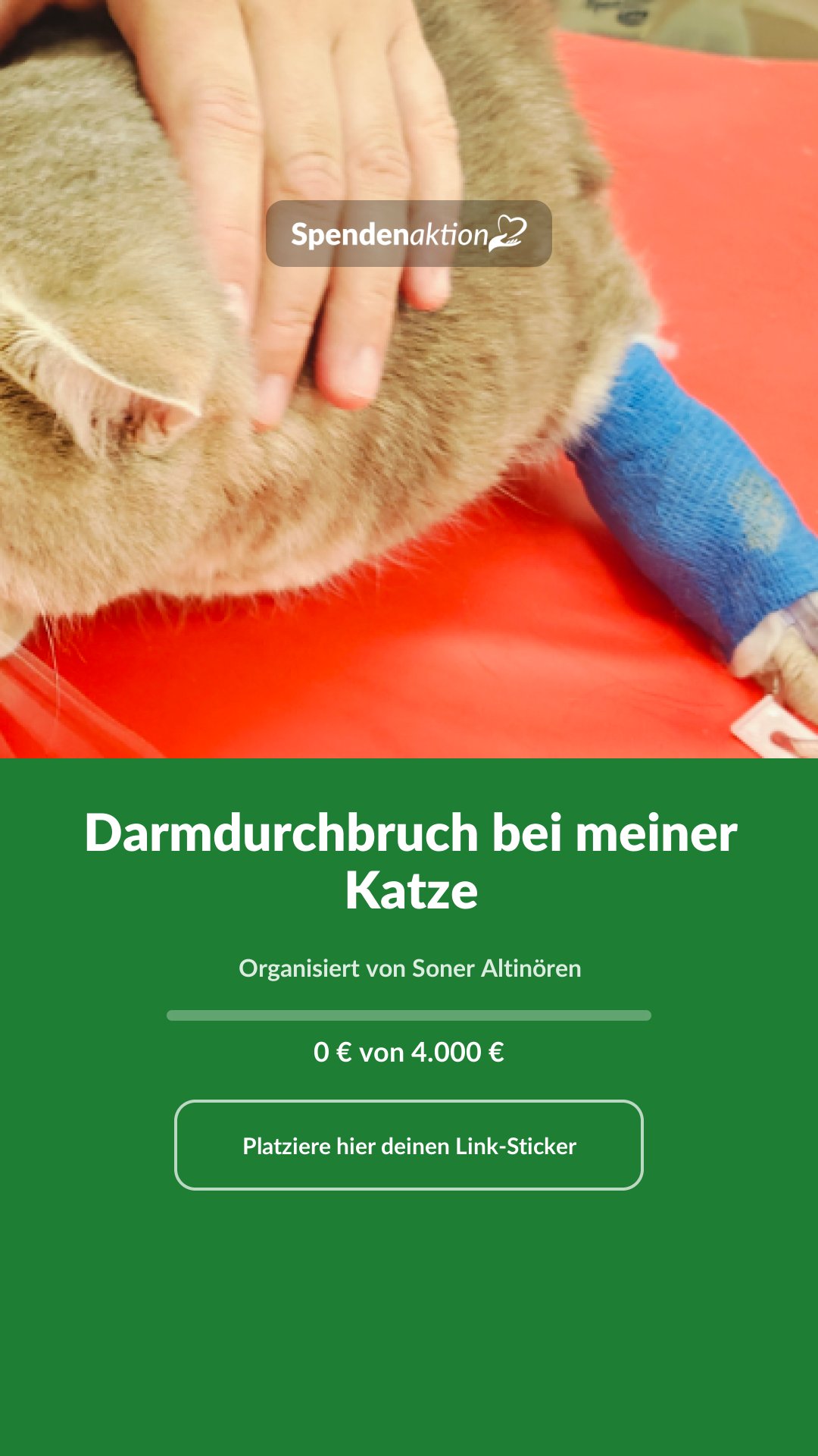 Vorschau des Bildes