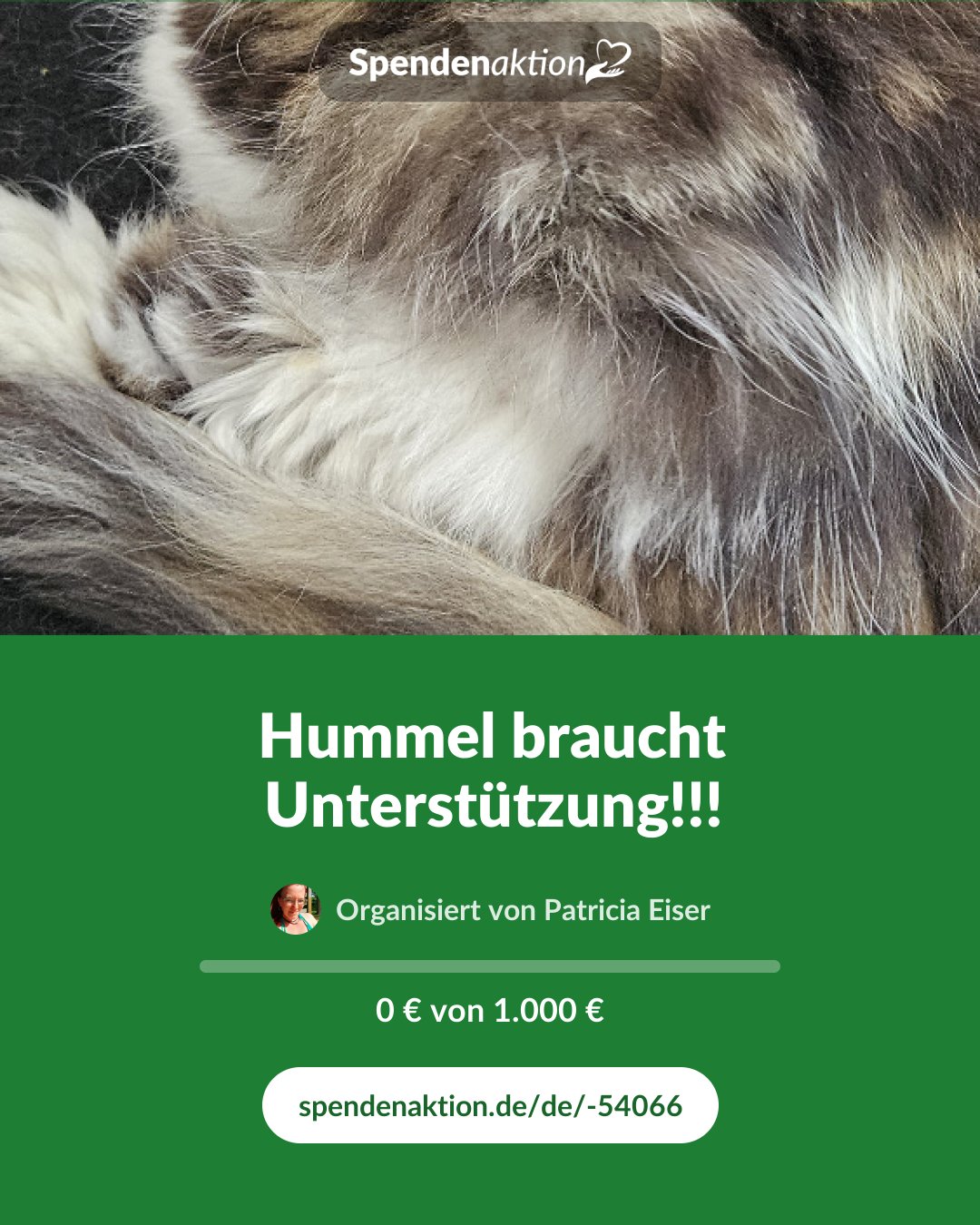 Vorschau des Bildes