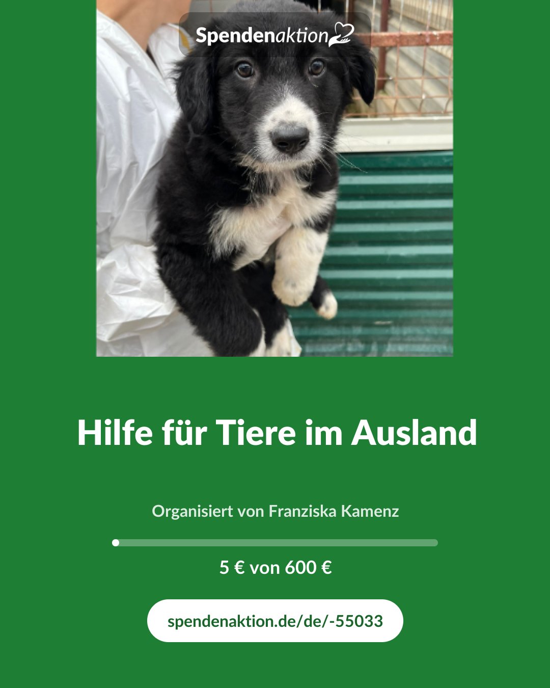 Vorschau des Bildes