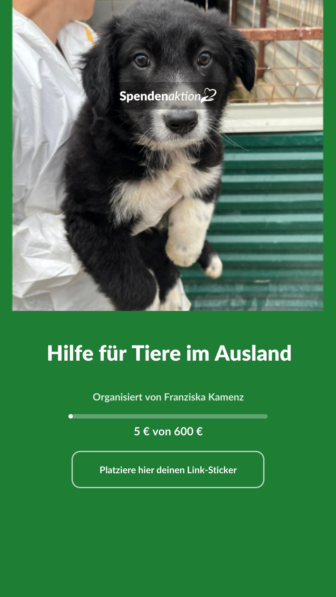Vorschau des Bildes
