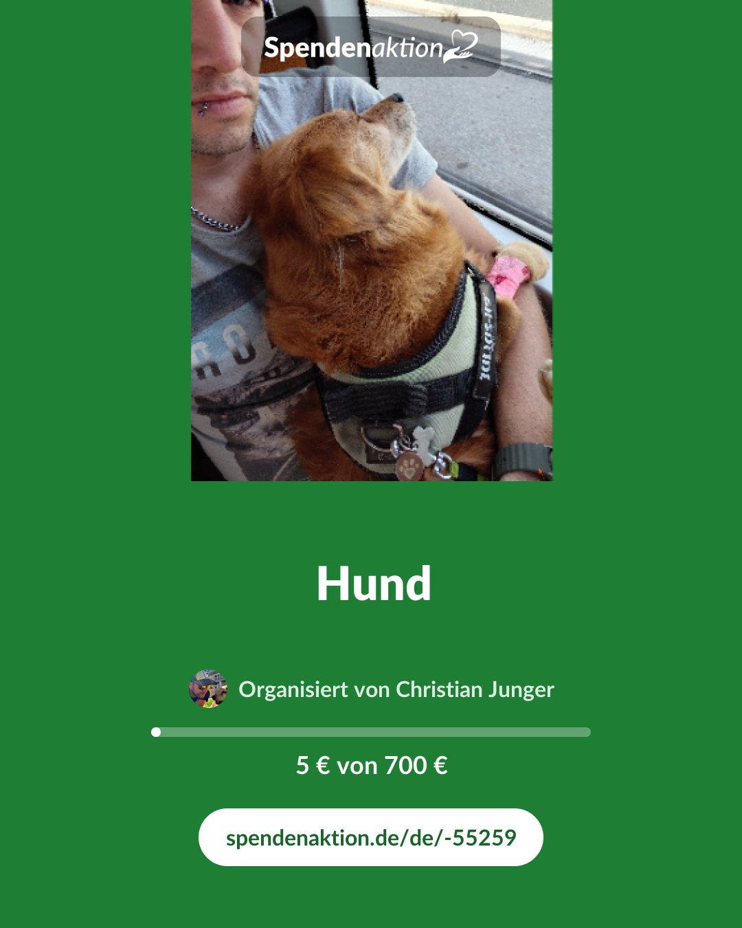 Vorschau des Bildes
