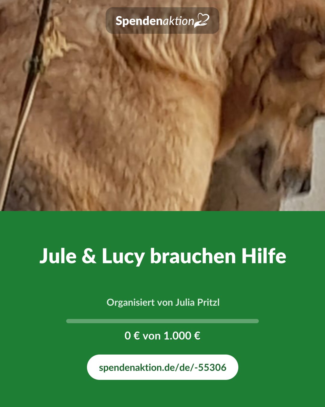 Vorschau des Bildes