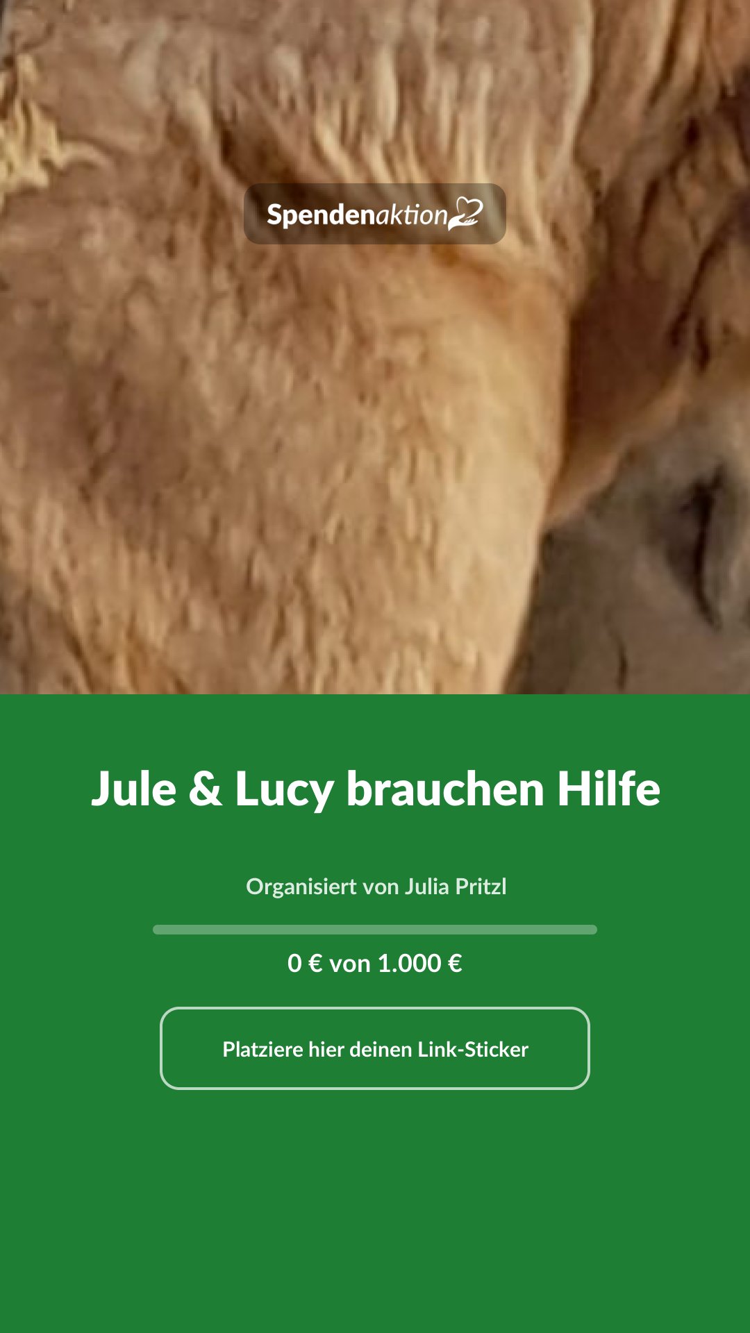 Vorschau des Bildes