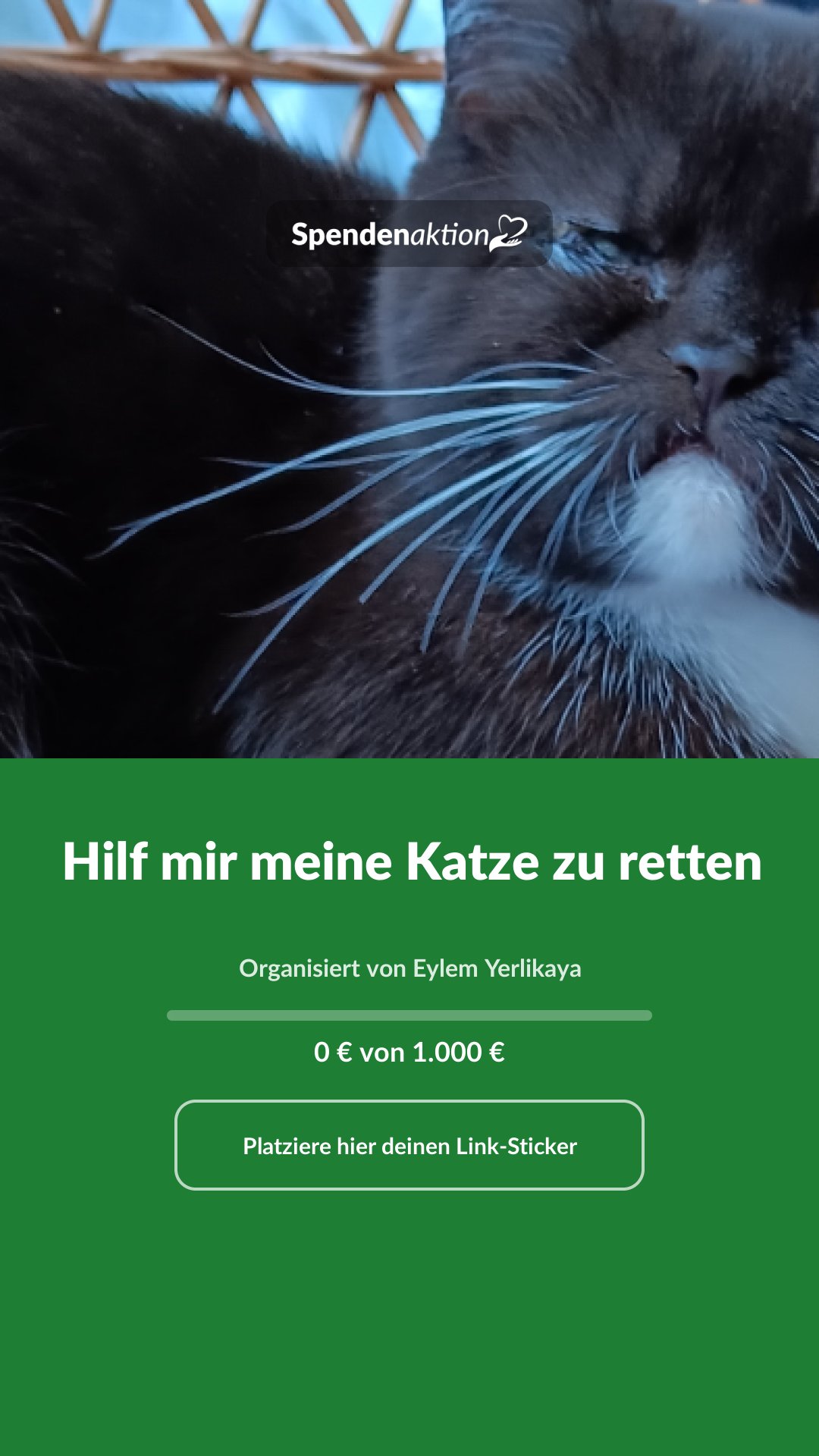 Vorschau des Bildes