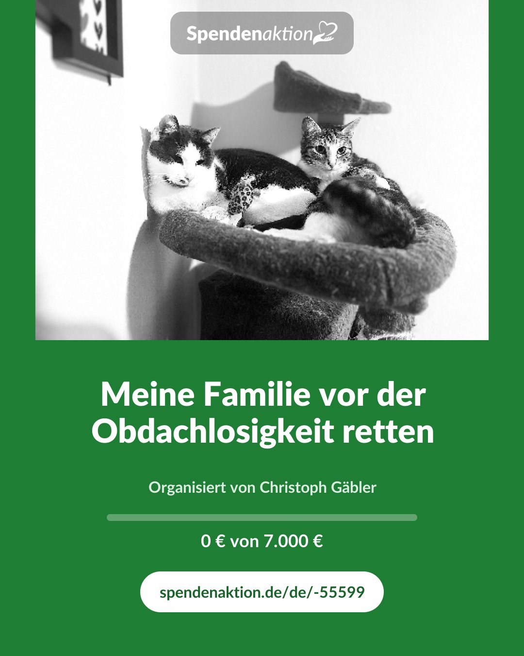 Vorschau des Bildes