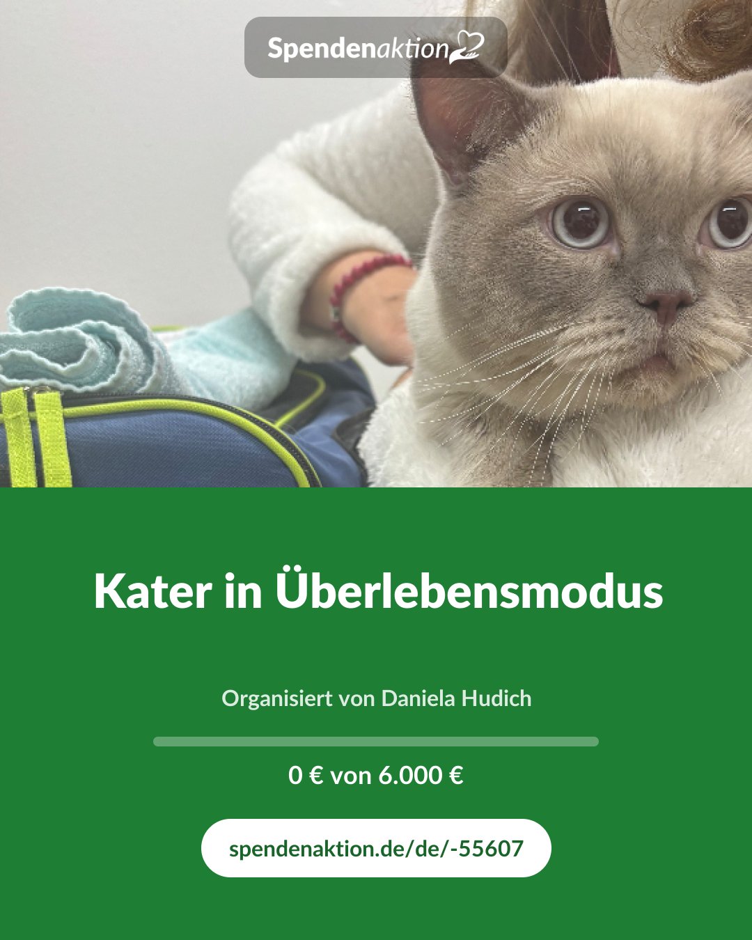 Vorschau des Bildes