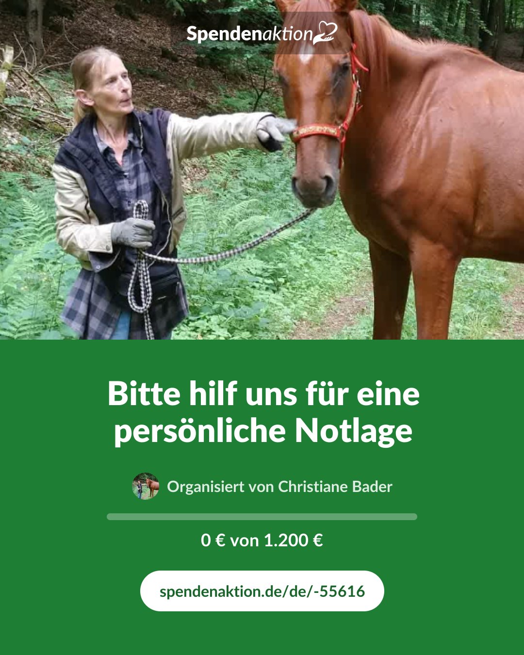 Vorschau des Bildes