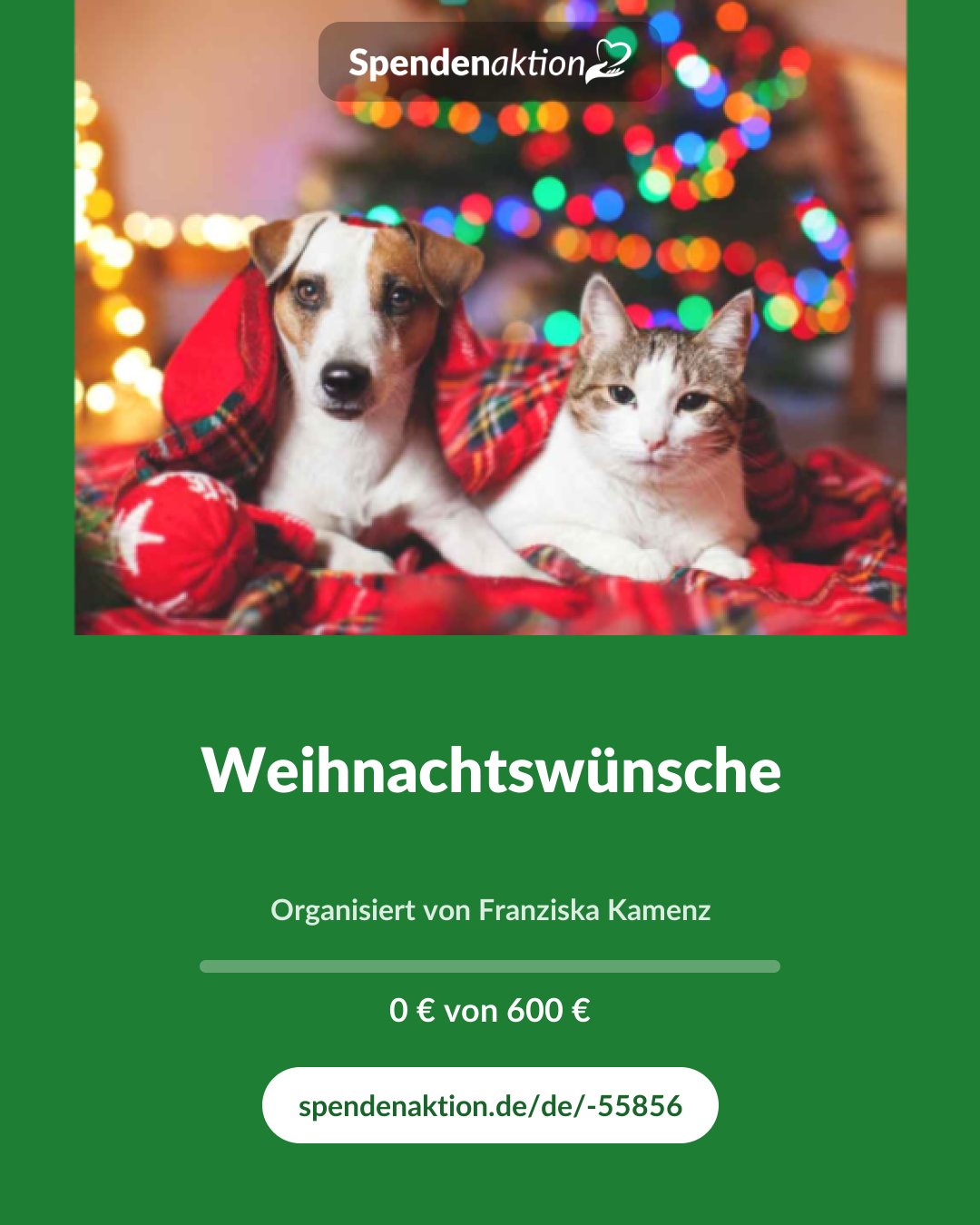 Vorschau des Bildes