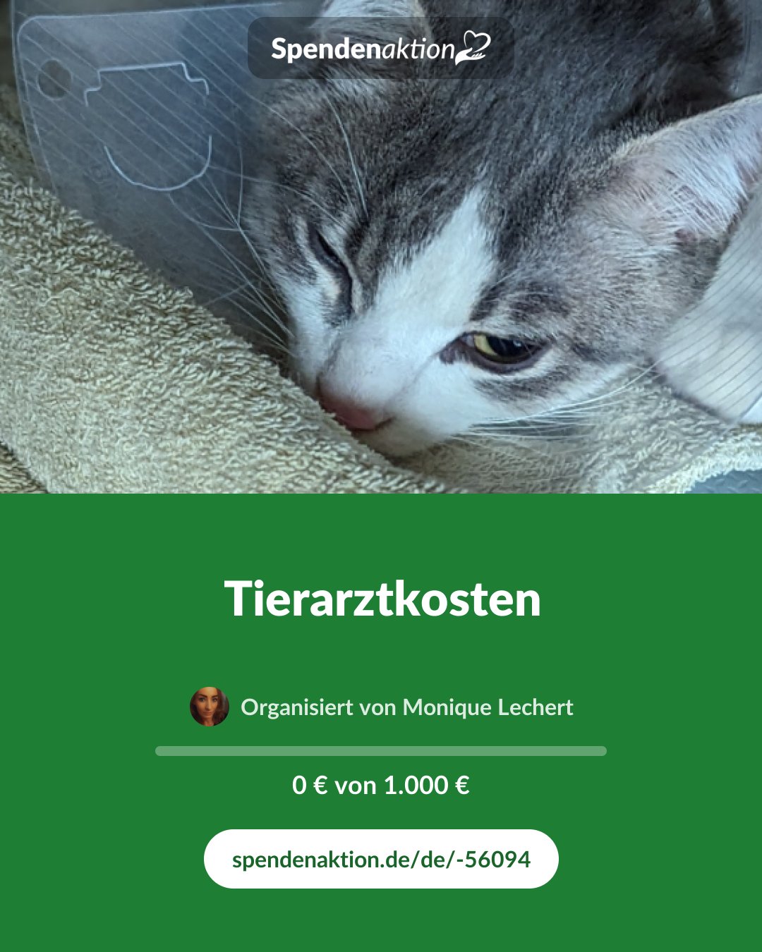 Vorschau des Bildes
