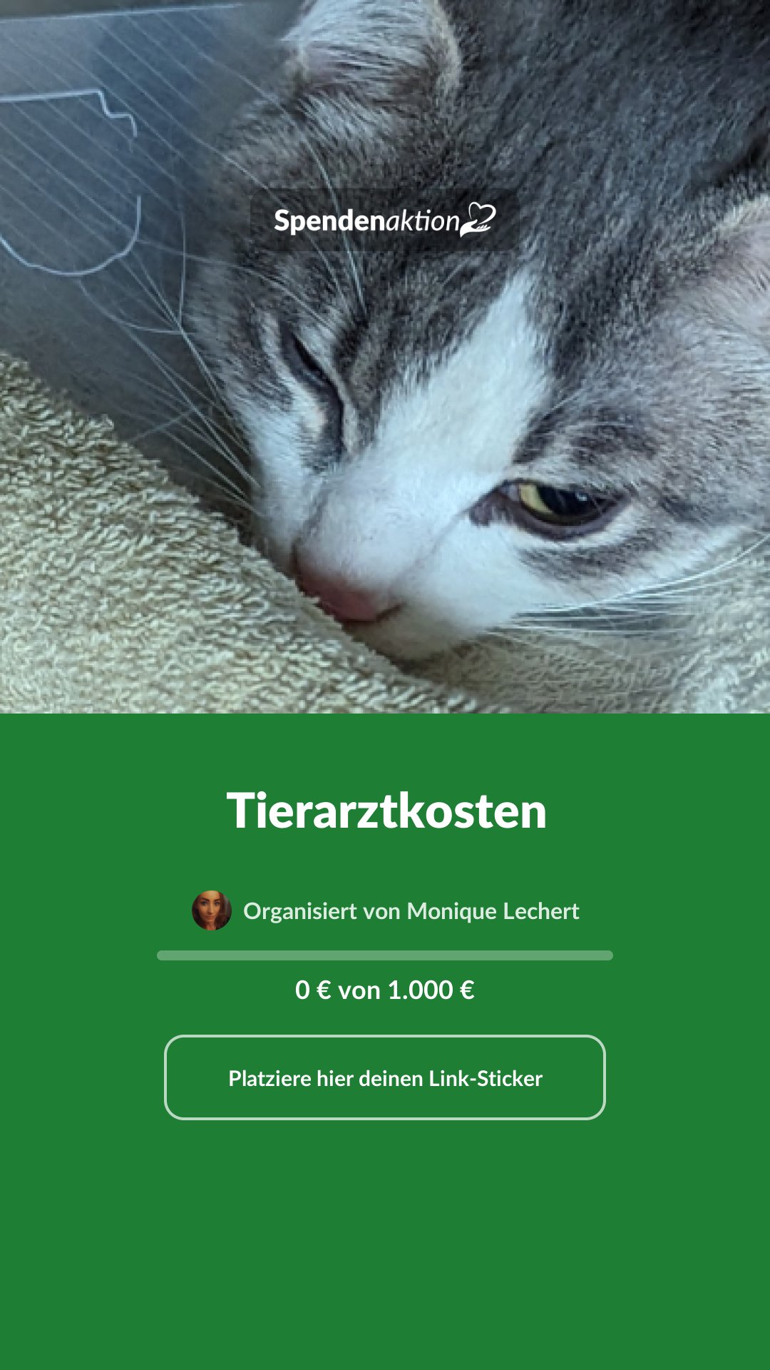 Vorschau des Bildes