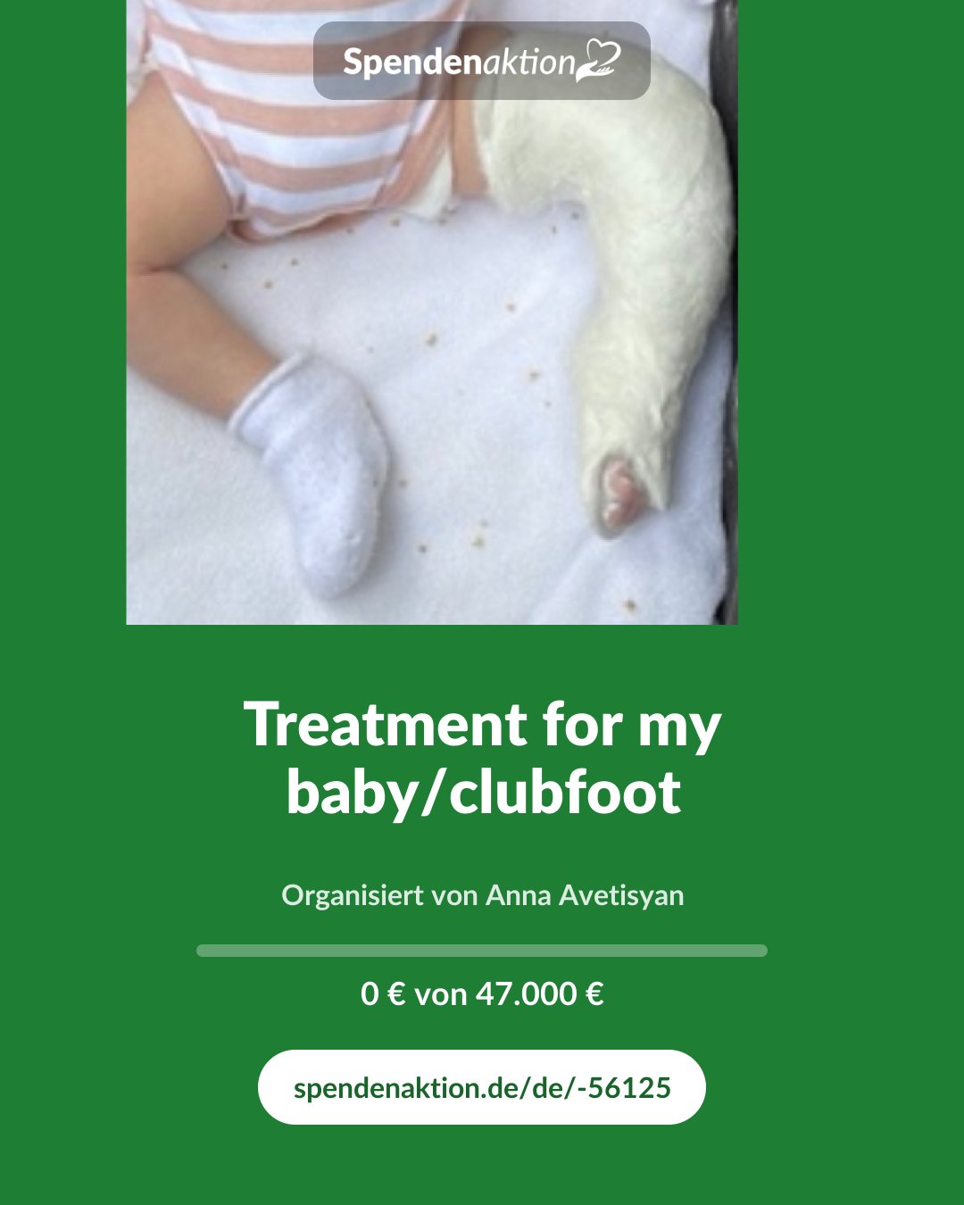 Vorschau des Bildes
