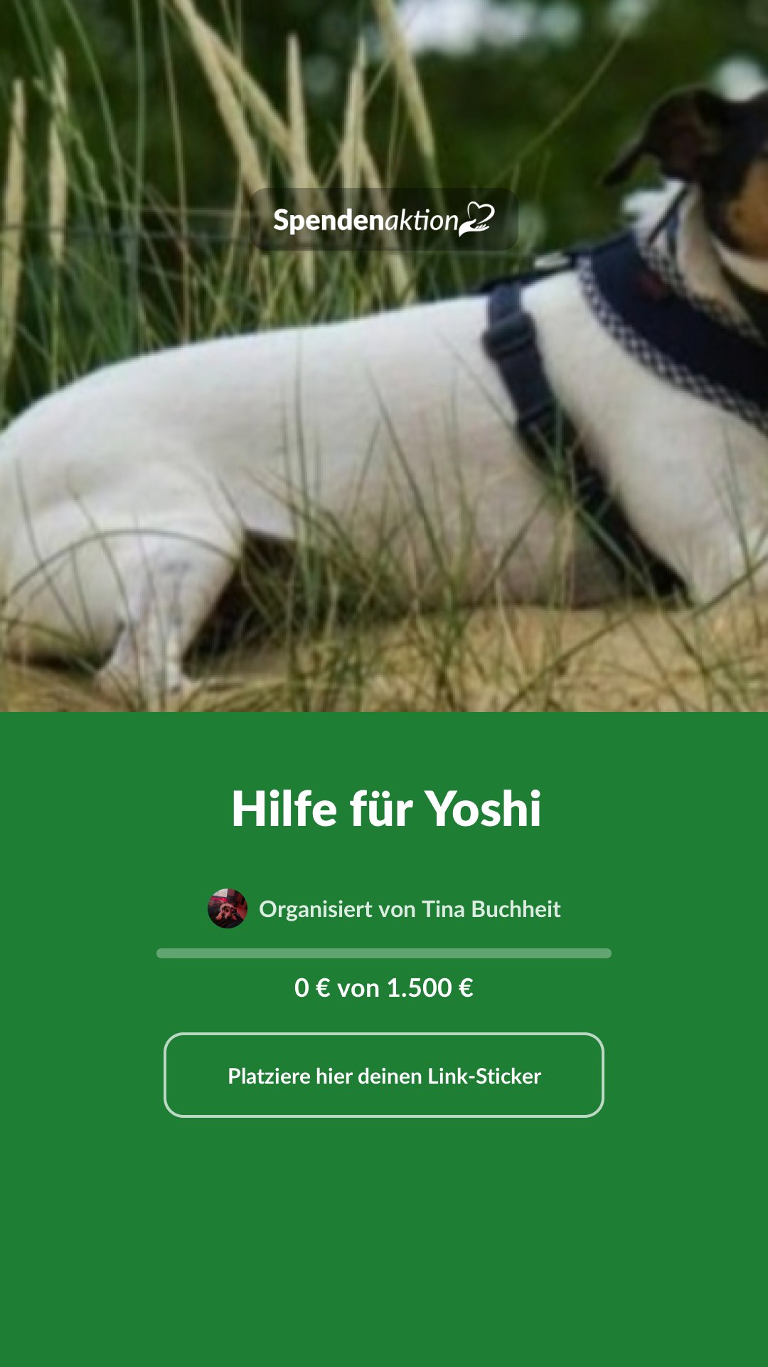 Vorschau des Bildes