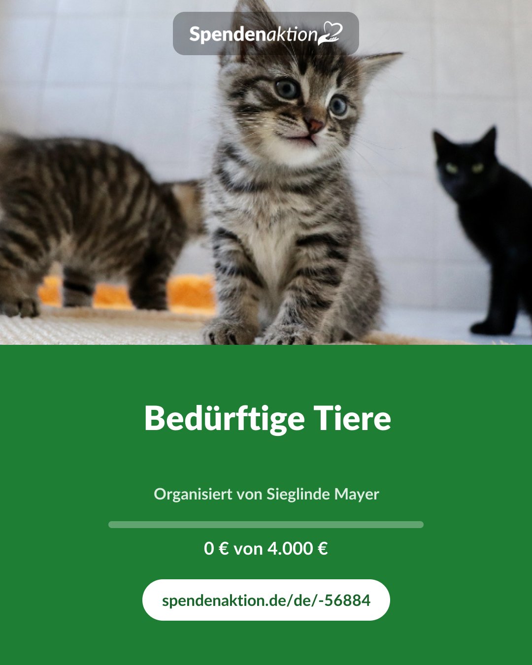 Vorschau des Bildes