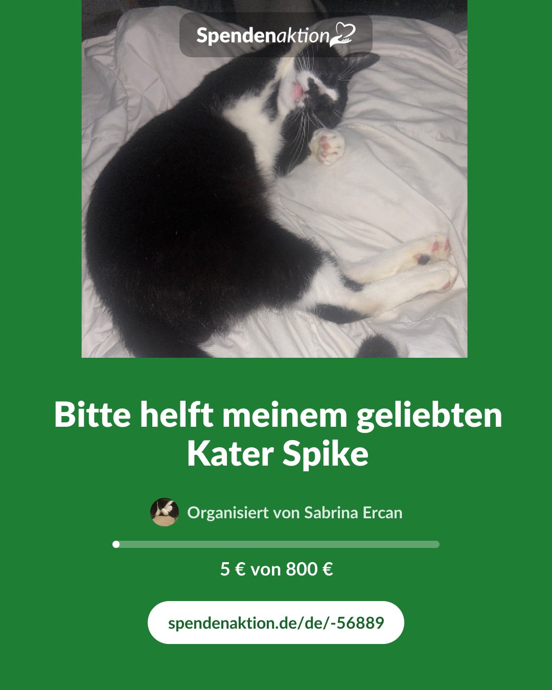 Vorschau des Bildes
