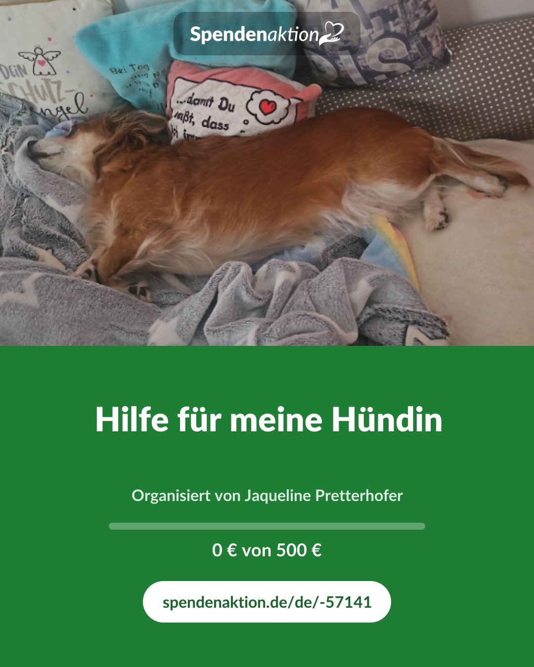 Vorschau des Bildes