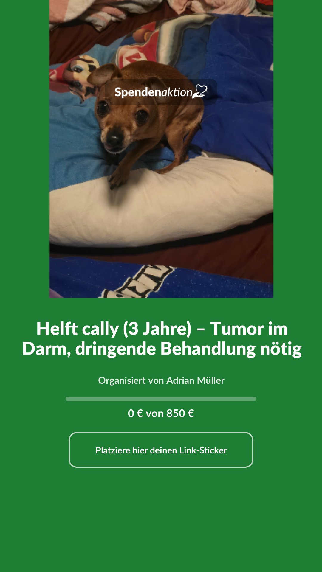 Vorschau des Bildes