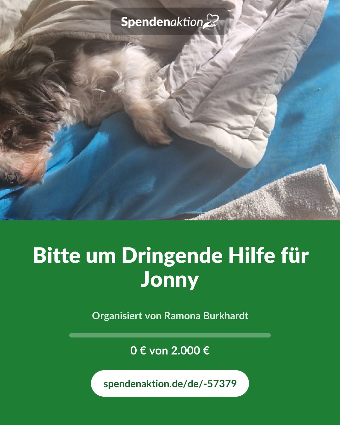 Vorschau des Bildes